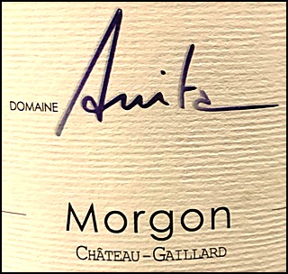 2022 Domaine Anita Morgon Chteau Gaillard