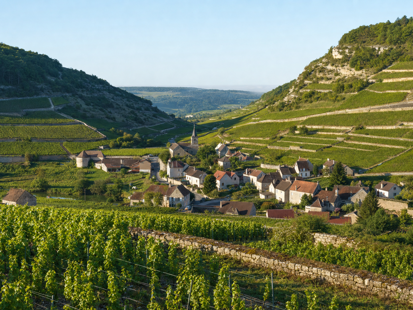 Auxey-Duresses hidden valley vineyards behind Meursault