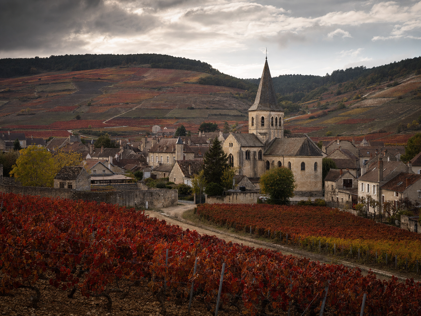 Clos des Épeneaux vineyard in Pommard