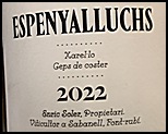 2022 Enric Soler Espenyalluchs