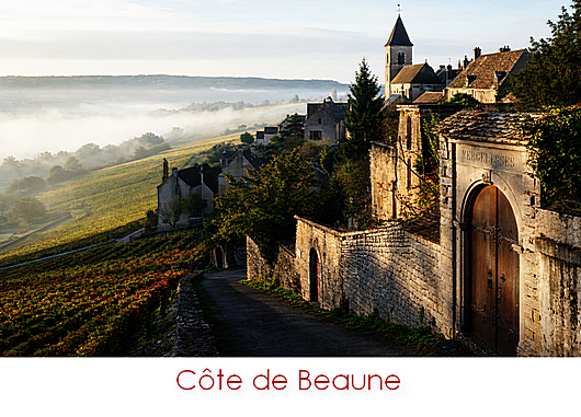 Cote de Beaune Cote de Beaune