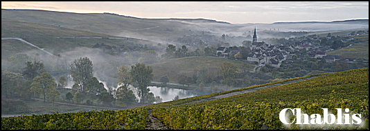 A Course in Chablis